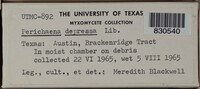 Image Associated With the Occurence